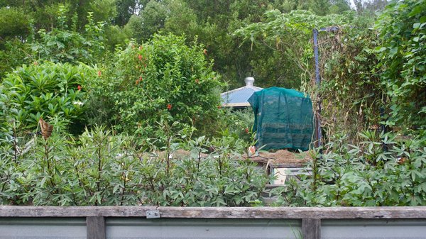 How Does Urban Permaculture Foster Community Health and Sustainable Living?